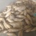 江西宜丰黄泥冬笋产地大量上市规格齐全产地直发