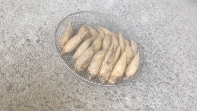 江西宜丰黄泥冬笋产地大量上市规格齐全产地直发