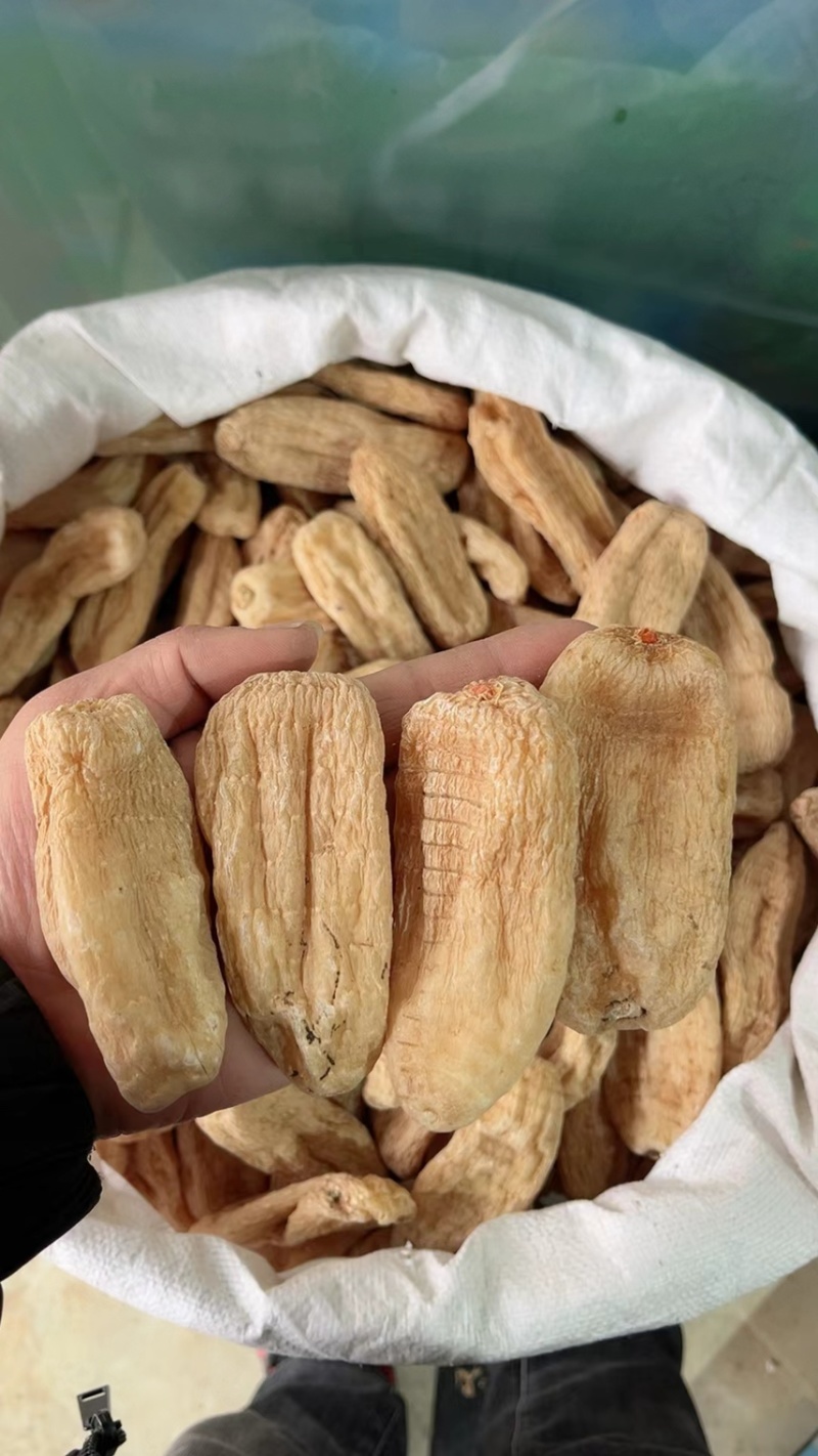 【产地直供干天麻】云南贵州深山鲜天麻晾干纯无硫干天麻