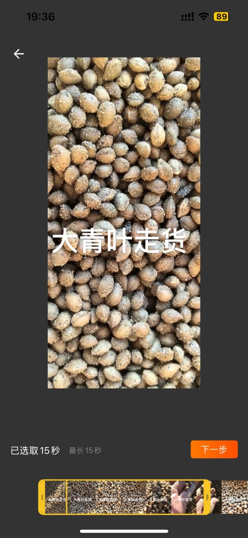 樱桃种子/马哈利种子大青叶嫁接车厘子沾木/对接批发
