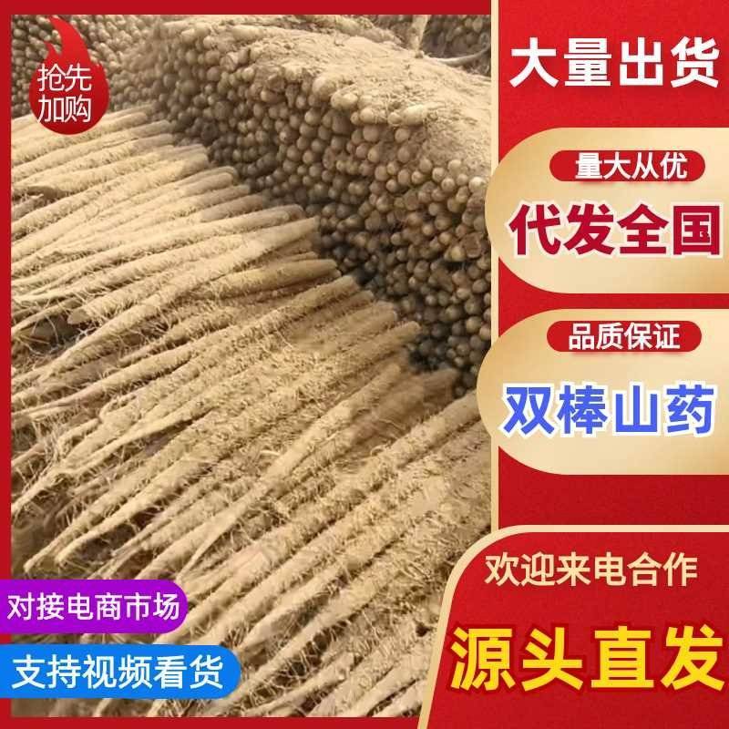 棒山药大量接单，25年新货大量供应，欢迎来电咨询