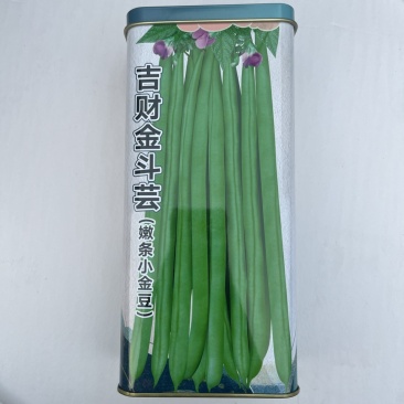 吉财小金豆种子品种高产四季种植品种种子