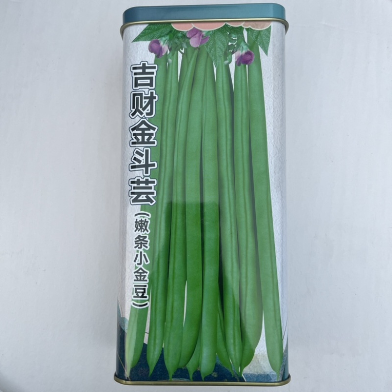 吉财小金豆种子品种高产四季种植品种种子