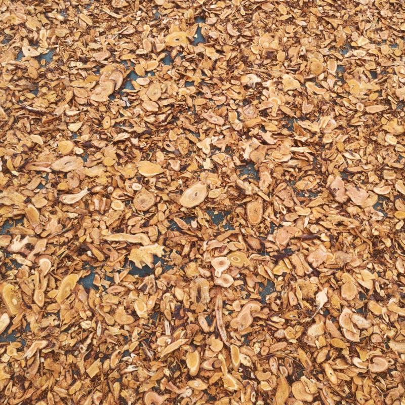虎杖，野生虎杖，洗净切片干货