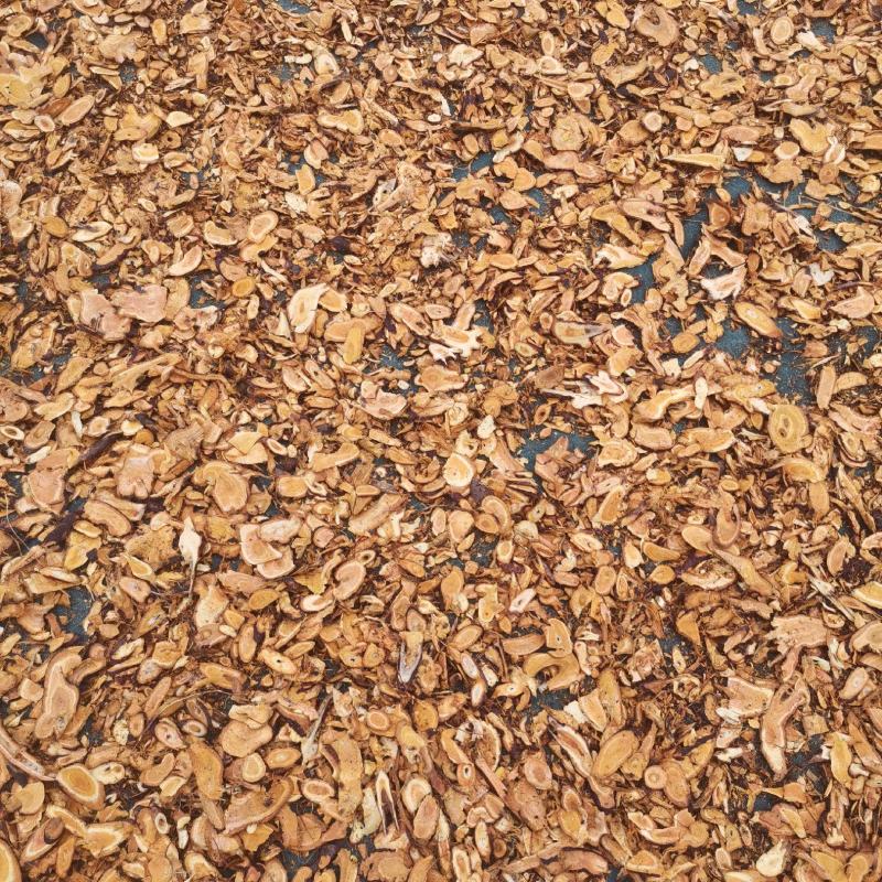 虎杖，野生虎杖，洗净切片干货