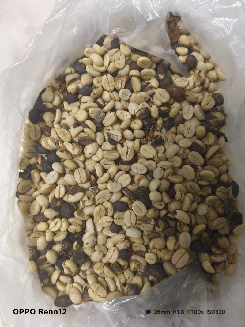 咖啡壳豆生豆