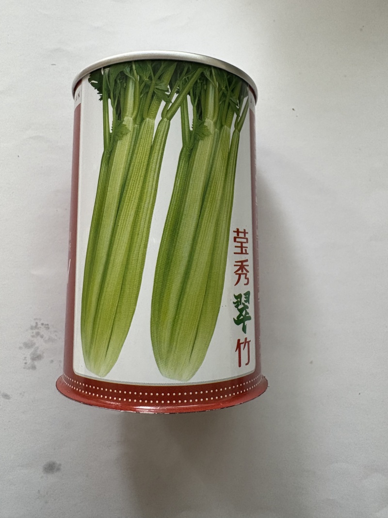 莹秀翠竹西芹种子100克装进口西芹厂家直销