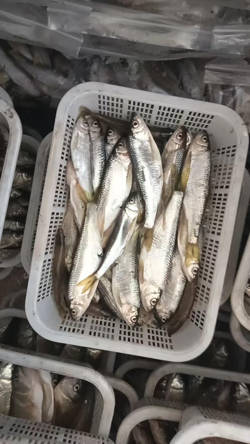 大嘴