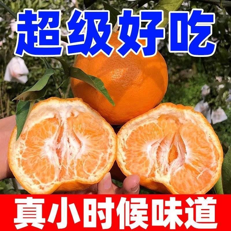 《精选》四川耙耙柑春见柑橘基地直发保质保量一条龙服务