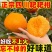 《精选》四川耙耙柑春见柑橘基地直发保质保量一条龙服务