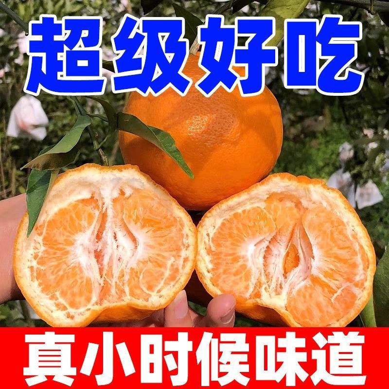 《精选》四川耙耙柑春见柑橘基地直发保质保量一条龙服务