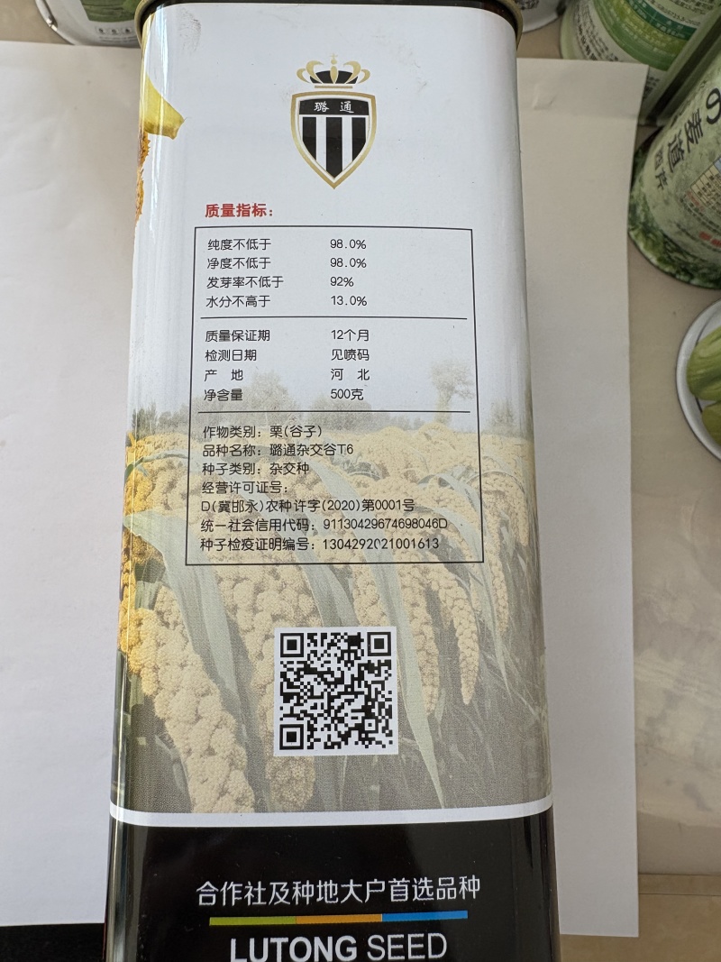璐通杂交T6谷子种子500克装厂家直销品质保障