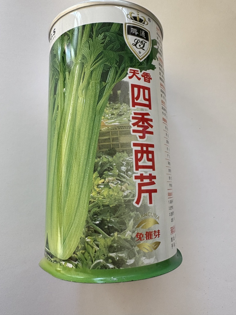 天香四季西芹种子100克装杂交品种免催芽厂家直销