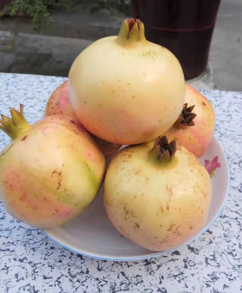 怀远红玛瑙红石榴现货当季水果