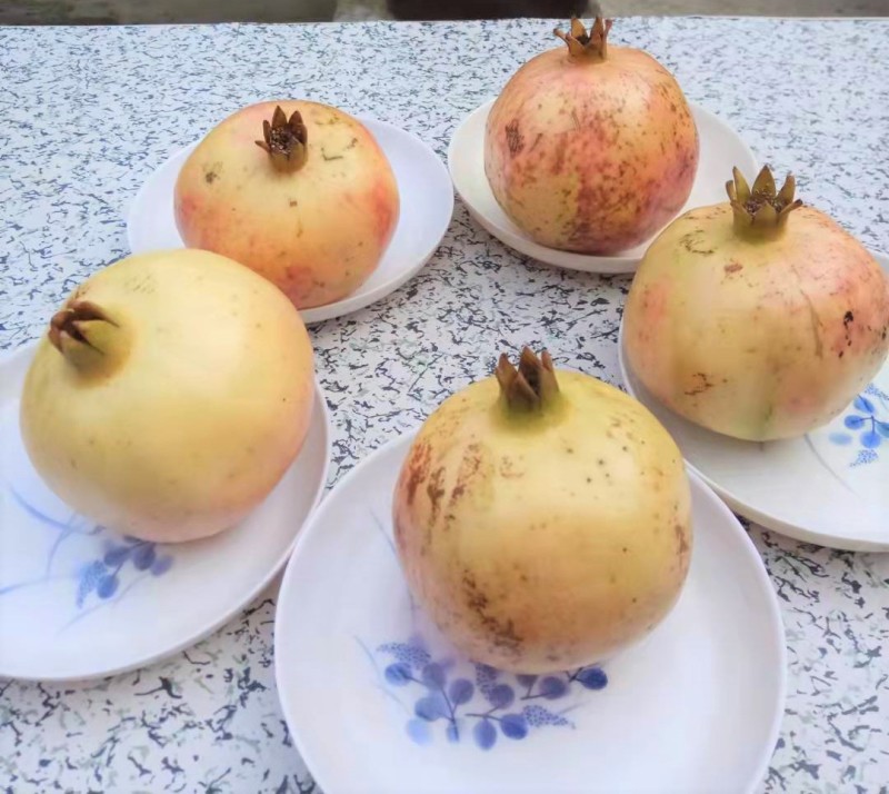 怀远红玛瑙红石榴现货当季水果