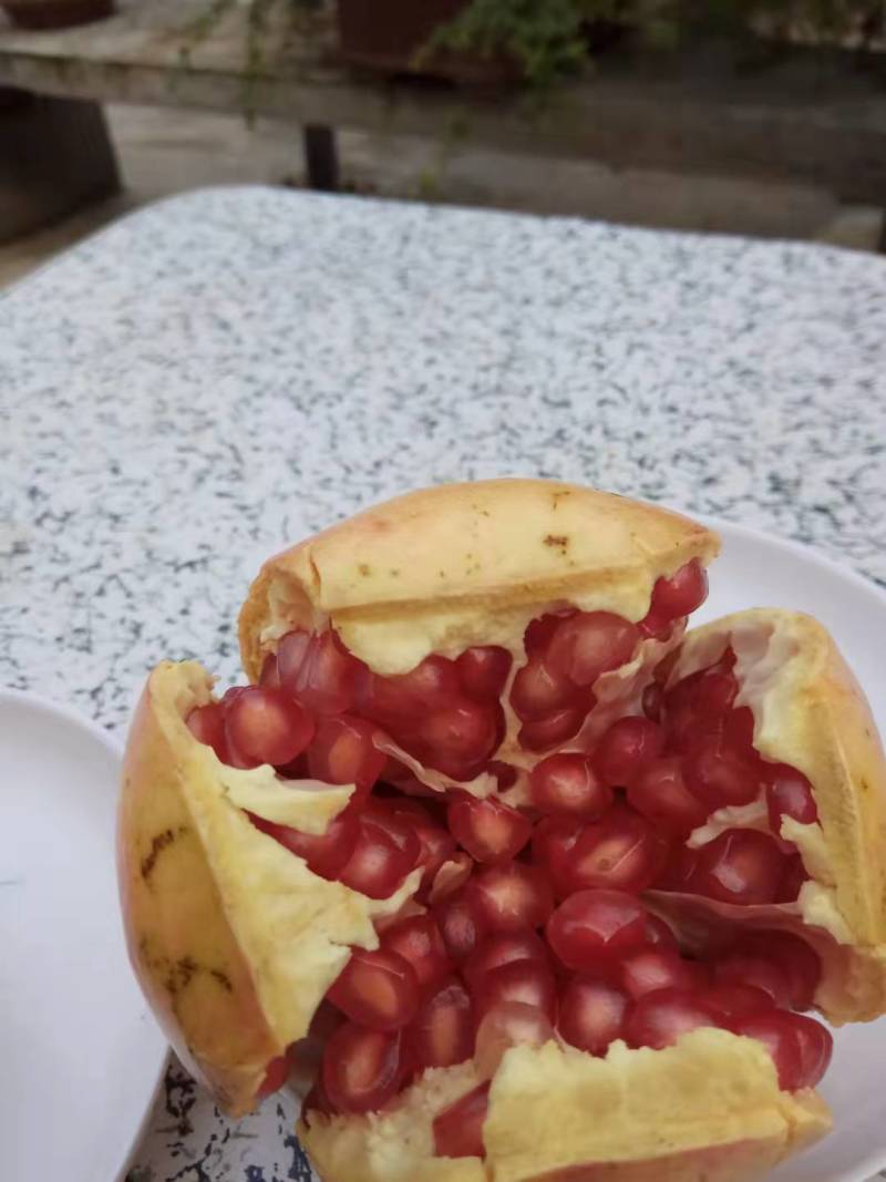 怀远红玛瑙红石榴现货当季水果