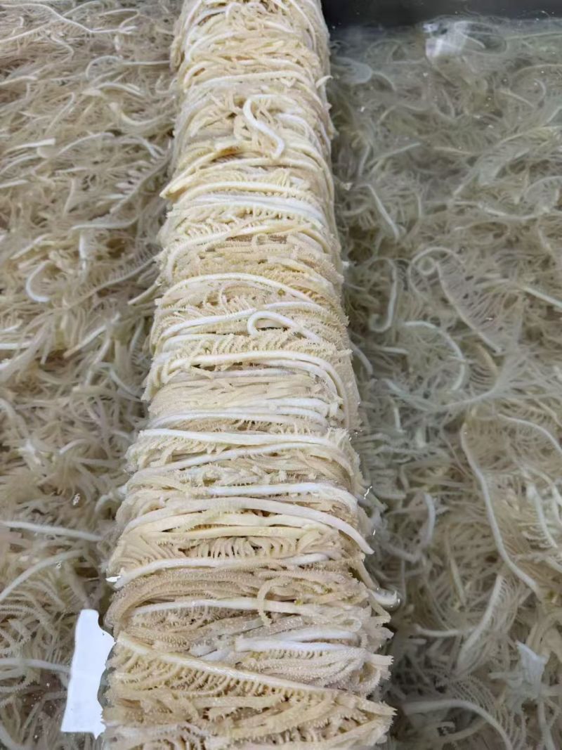 火锅毛肚