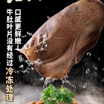 火锅毛肚
