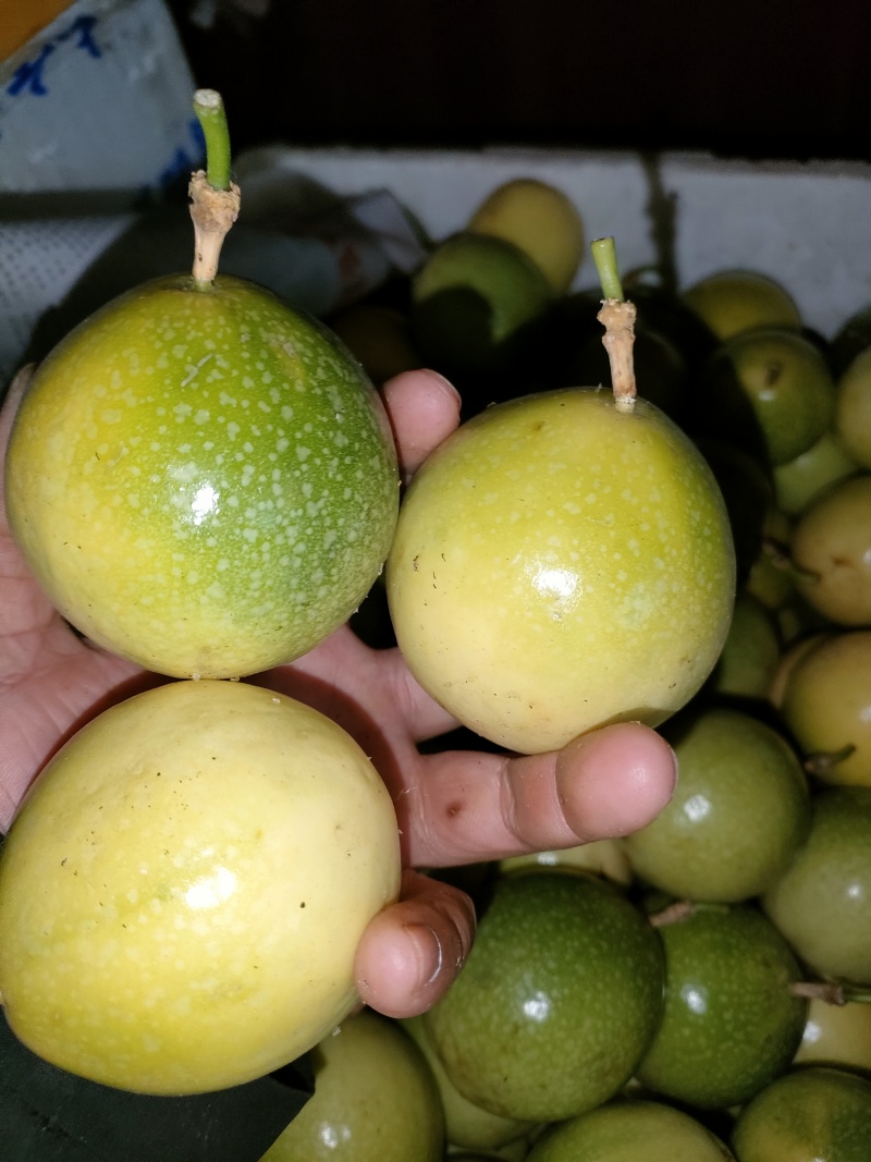 黄金百香果