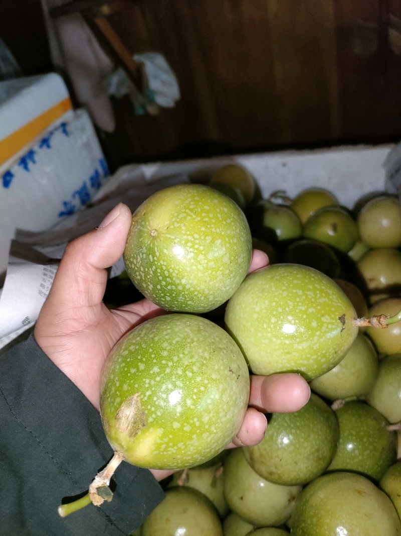黄金百香果