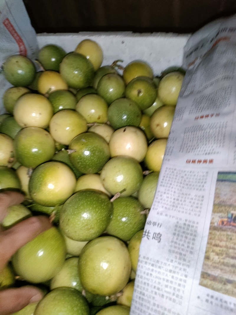 黄金百香果