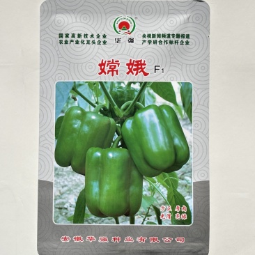 嫦娥甜椒种子杂交一代方椒品种种子