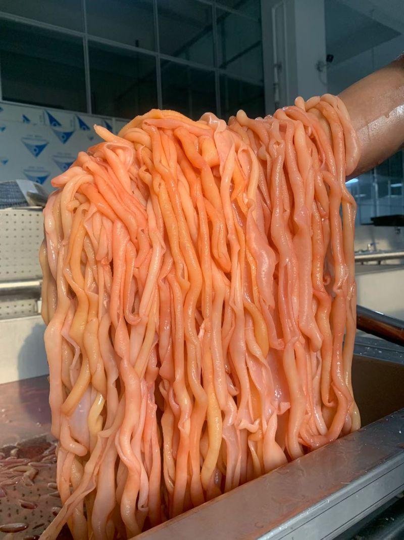 水发鸭场火锅鸭肠适用自助餐食堂冒菜麻辣烫