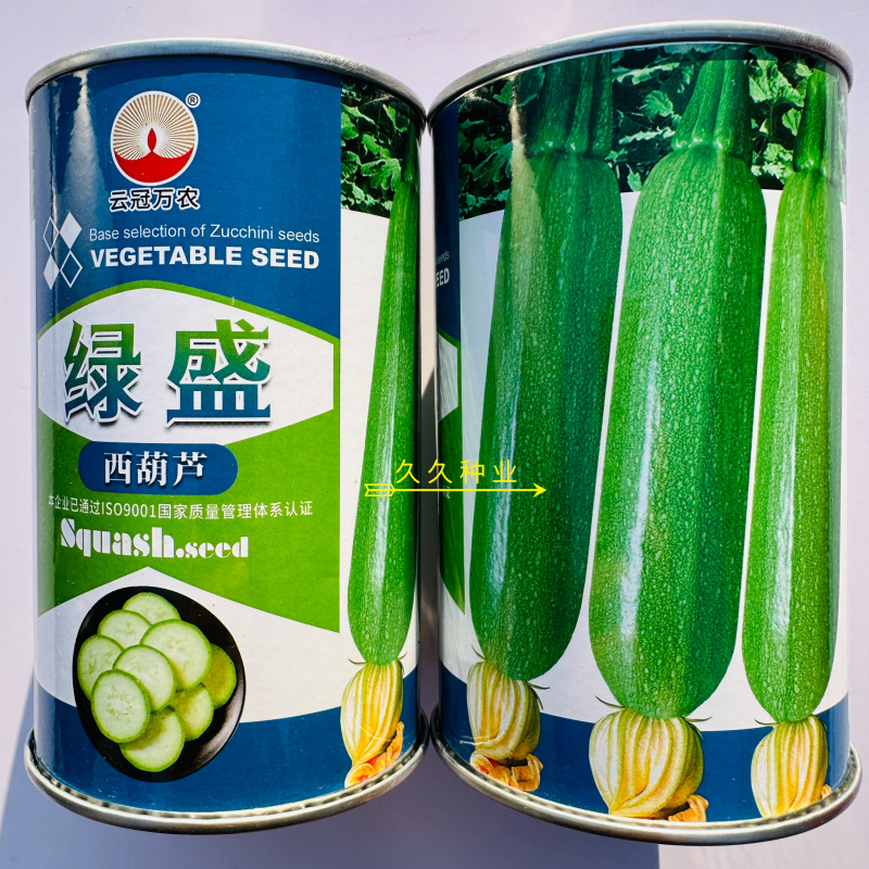 绿盛西葫芦种子杂交早熟高产抗病耐热耐寒春秋播