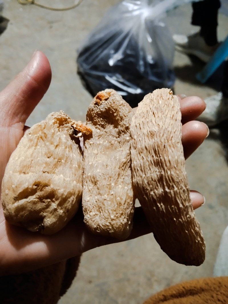 野生手选天麻大个色好无流批发天麻片批发补品营养送礼吃！！