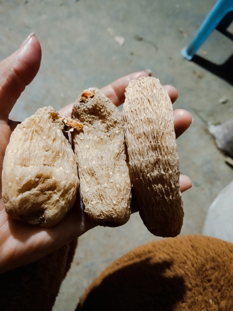 野生手选天麻大个色好无流批发天麻片批发补品营养送礼吃！！