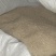 自家农场种植水稻9308香米
