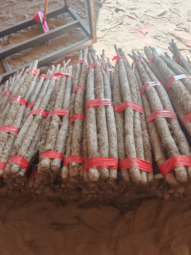 河北大名白玉山药长条，精选二路山药，无裂口条形好，