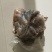 蒙古国京润白皮熟羊肉