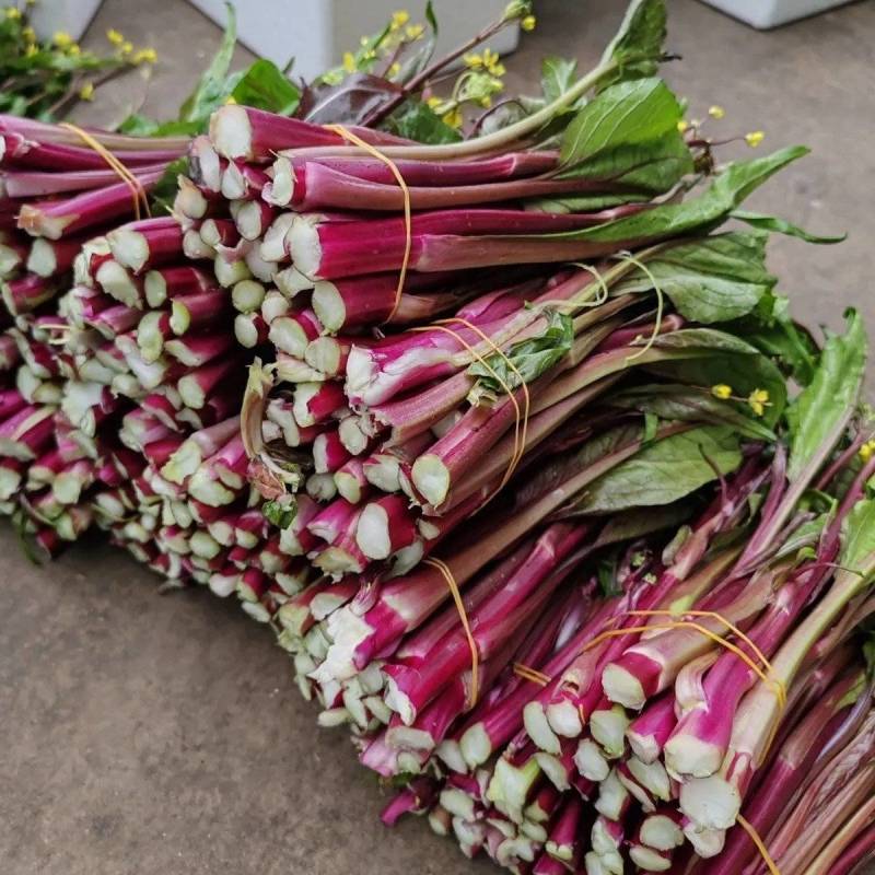 湖北天门红菜苔精品红菜苔超市**自己基地种植
