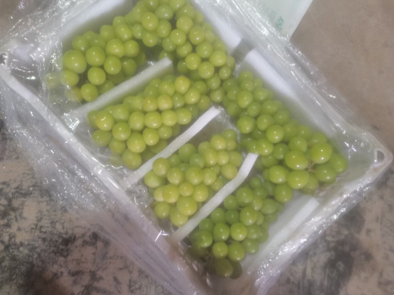 巨峰葡萄阳光玫瑰葡萄大量现货茉莉香提