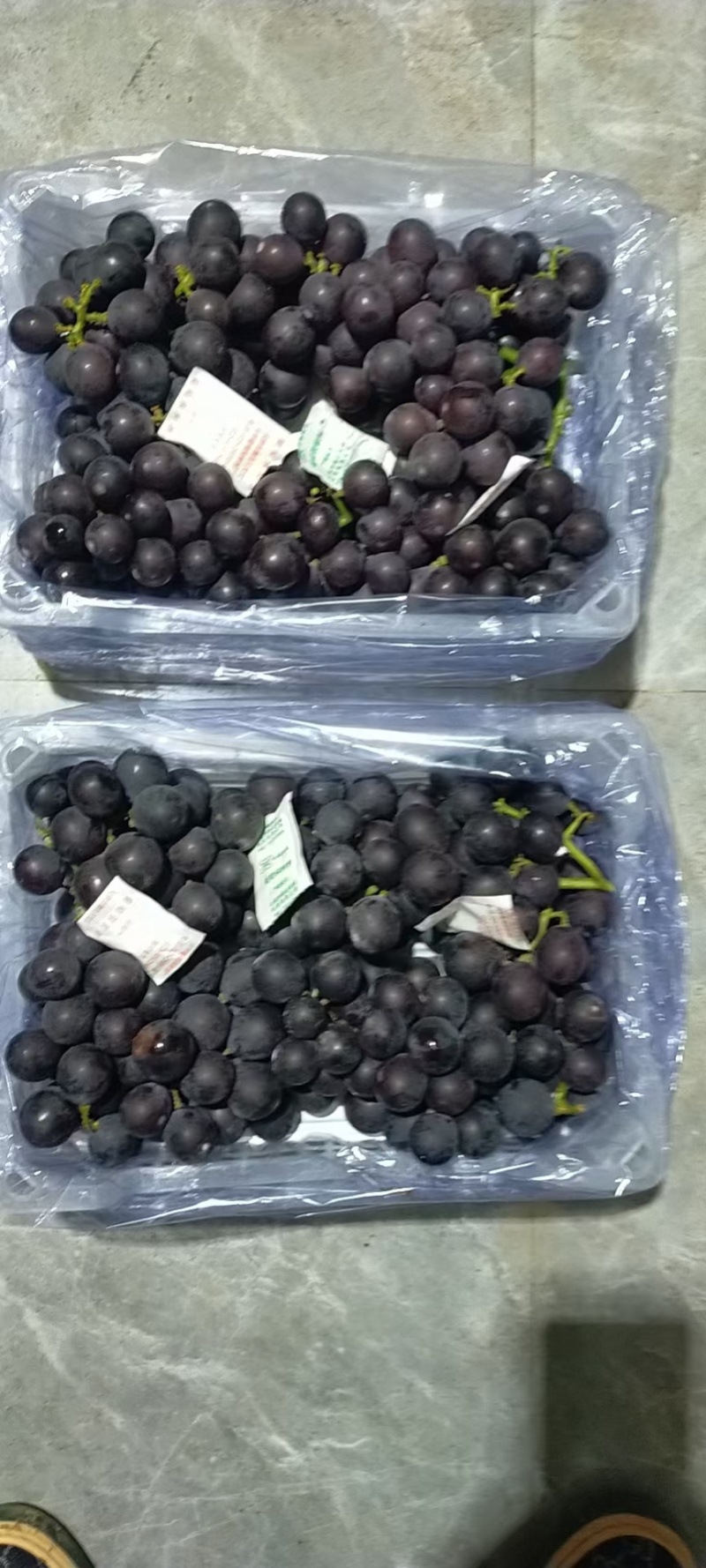 巨峰葡萄阳光玫瑰葡萄大量现货茉莉香提