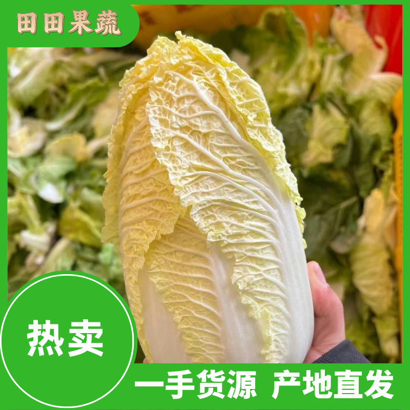 湖北娃娃菜，大量供应，规格齐全，产地直发，长期合作。