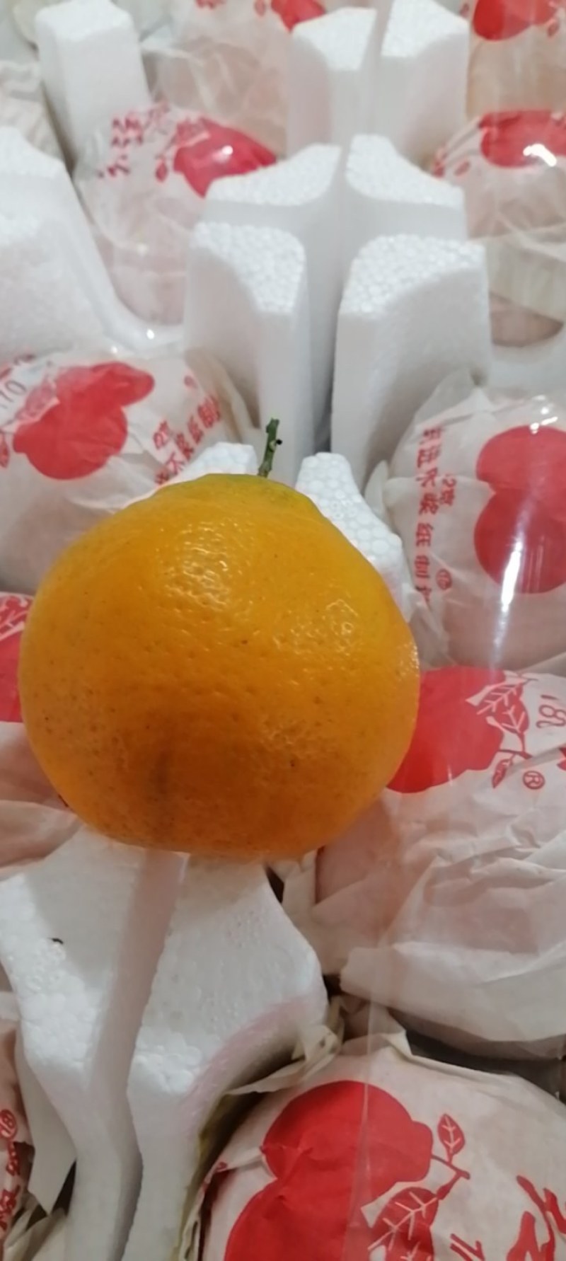 【一件代发】四川眉山春见耙耙柑愍愍甜当天采摘发货开票服务