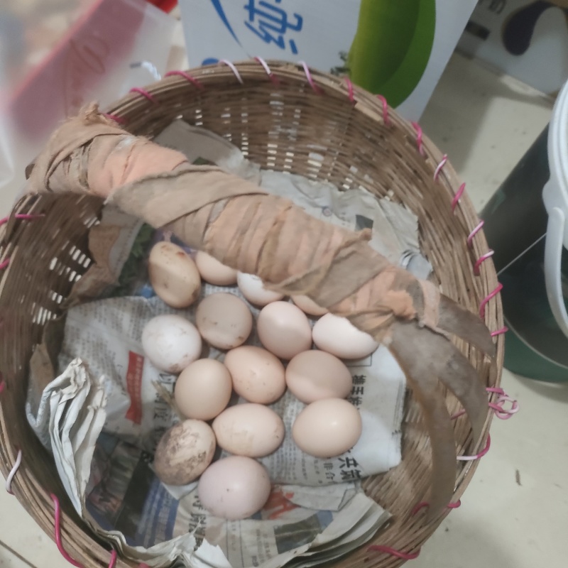 农村土鸡蛋