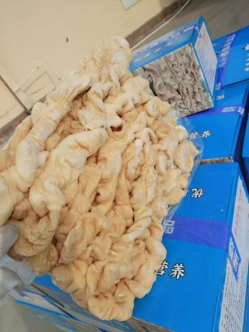 纯干熟大肠