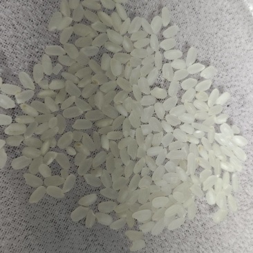好吃的东北大米，新米少添水，白的是胚芽可以少买尝尝