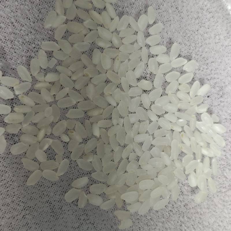 好吃的东北大米，新米少添水，白的是胚芽可以少买尝尝