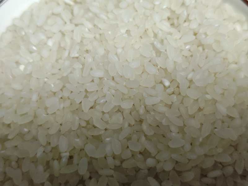 好吃的东北大米，新米少添水，白的是胚芽可以少买尝尝