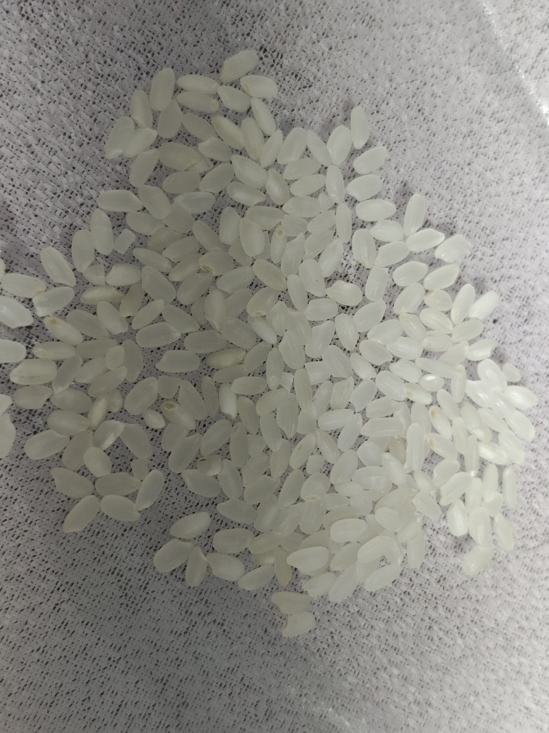 好吃的东北大米，新米少添水，白的是胚芽可以少买尝尝