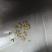 好吃的东北大米，新米少添水，白的是胚芽可以少买尝尝