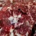 牛碎肉