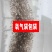水花苗龙虾抱籽抱卵虾淡水小龙虾水花鲜活虾