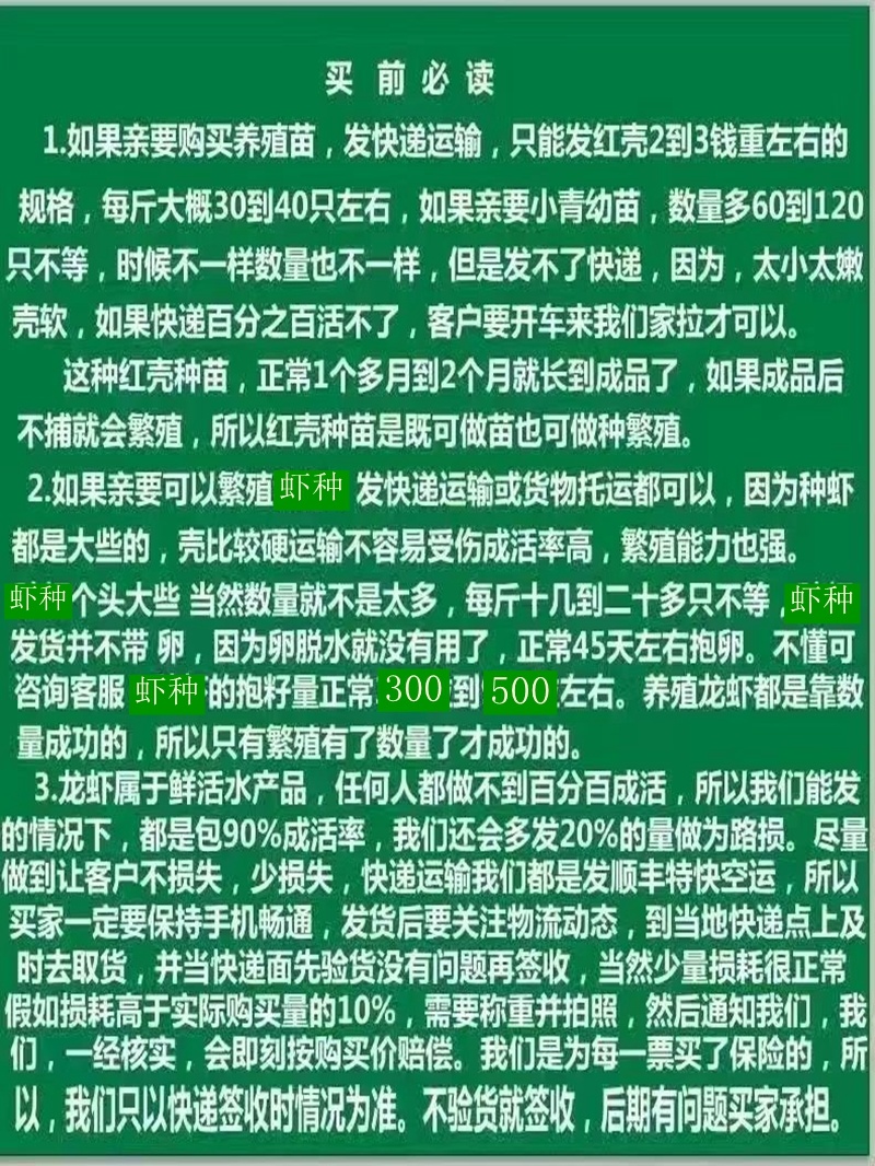 水花苗龙虾抱籽抱卵虾淡水小龙虾水花鲜活虾