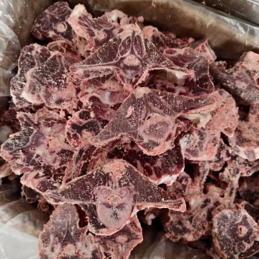牧场纪羊蝎子