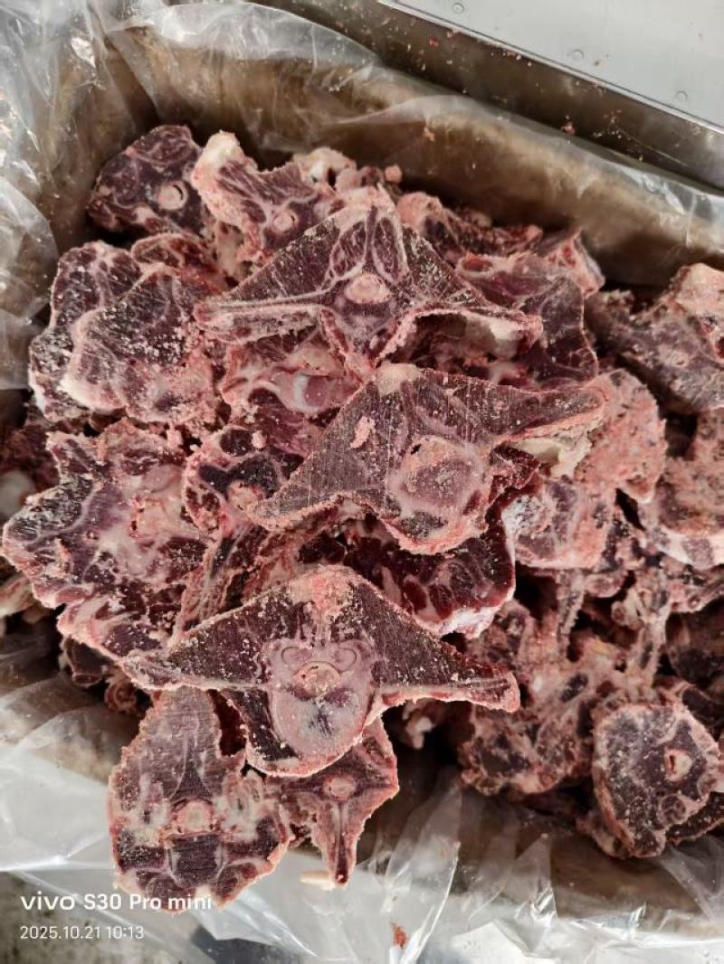 牧场纪羊蝎子